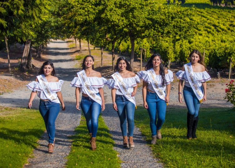 Fiesta de la Vendimia se realizará este fin de semana en Chillán