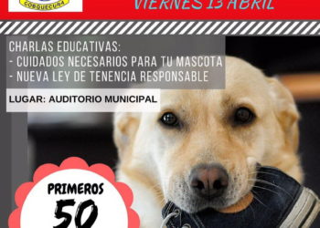 50 vecinos de Cobquecura podrán acceder a implante gratuito de microchip para mascotas