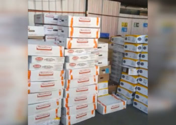 Detienen en Santiago a 8 personas que se robaron 120 mil cajas de carne importada