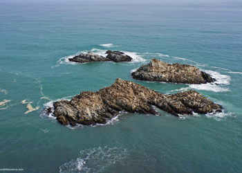 Municipio de Cobquecura busca ampliar zona protegida del Santuario de la Naturaleza La Lobería