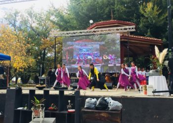 En Coelemu se realiza hoy Feria del Libro y la gastronomía