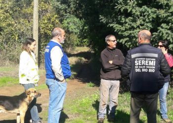 Autoridad sanitaria confirmó sumario contra Celulosa Arauco por derrame del ducto