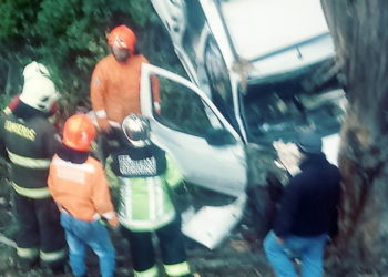 Quirihuano falleció tras desbarrancar en su vehículo en la ruta Quirihue a Trehuaco