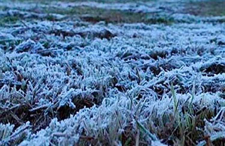 Quirihue y el Itata deberán soportar mínimas de hasta -2° esta semana
