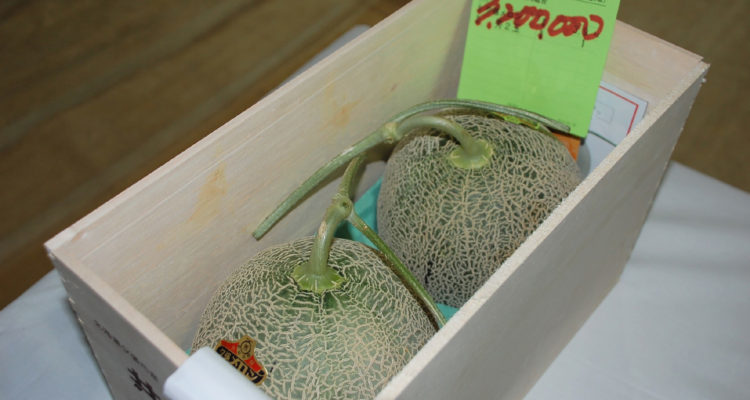 ¿Las paltas están caras?: Estos melones fueron vendidos por 18 millones de pesos en Japón