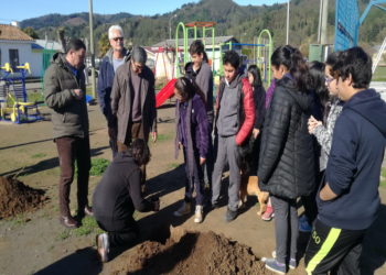 CONAF entregó gratuitamente mil árboles nativos para plantar en Buchupureo