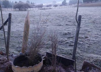 Quirihue marcó -4.7°: Ola polar sigue hasta mañana en toda la zona