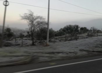 Ola polar dejó las temperaturas más bajas del año en el Itata: Quirihue marcó -2.9°