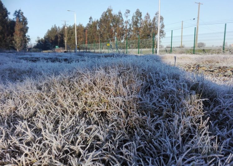 Termómetros descendieron a los -2.4° en Quirihue esta madrugada de lunes