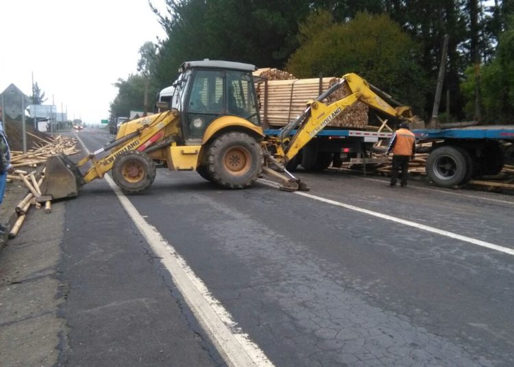 Camión cargado con polines protagonizó accidente en tura Quirihue a Trehuaco