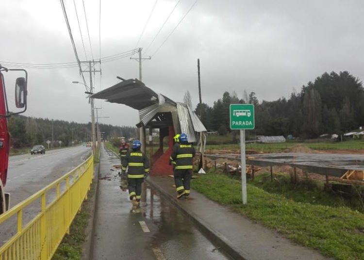 Techumbre voló por el fuerte viento y cayó sobre paradero en Coelemu