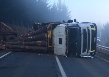 Camión cargado con madera volcó y cortó el tránsito entre Quirihue y Cauquenes