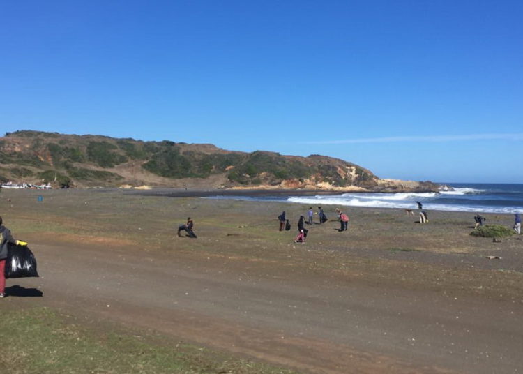 Municipio de Cobquecura organiza taller recreativo de conciencia ecológica y limpieza de playas
