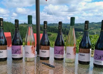 En Coelemu se realizará el primer Concurso interregional del Vino