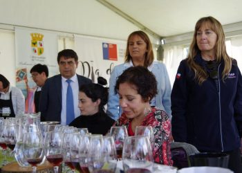 Gobernadora de Itata reafirmó el compromiso de apoyo a los viñateros del Itata