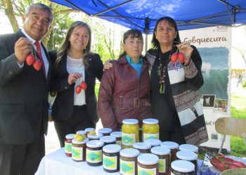 Exitosa Feria laboral intercomunal de la Mujer Rural se realizó en la Plaza de Quirihue