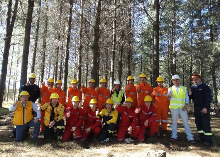 Alumnos del Liceo de Quirihue se capacitan para ser futuros brigadistas forestales