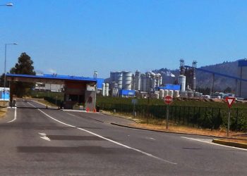 Trabajador muere al interior de CFI Nueva Aldea en Ránquil