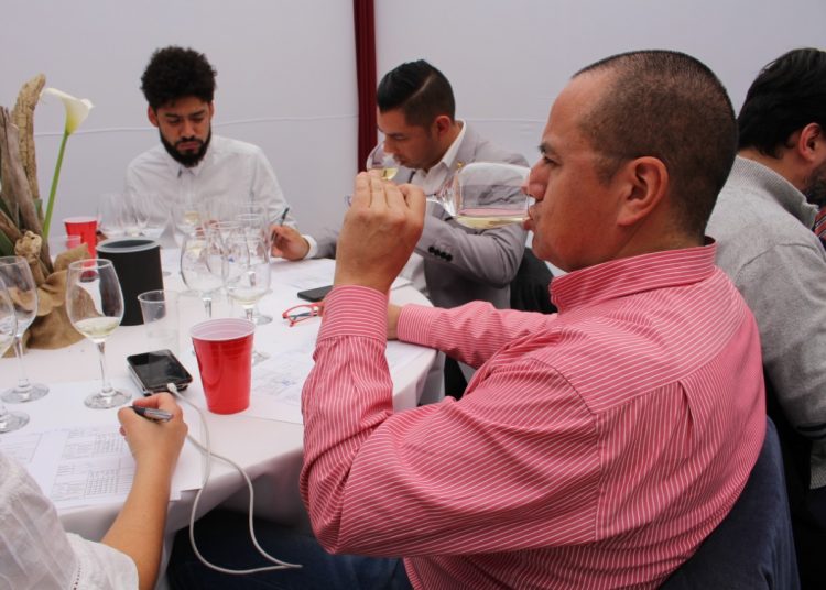 Concurso de vinos en Coelemu premió a los mejores de Ñuble, Bío Bío y Maule