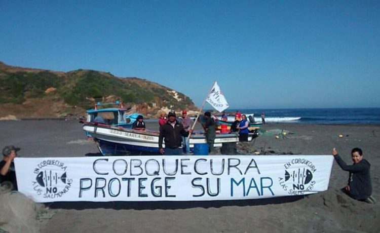El lunes 8 de octubre Comisión de Evaluación ambiental votará proyecto de salmoneras en Chillán