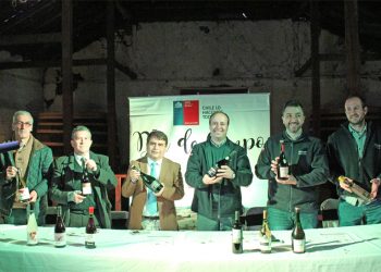 Trehuaco vivirá su «Día de Campo» con exposiciones, charlas, concurso de vinos y show musical