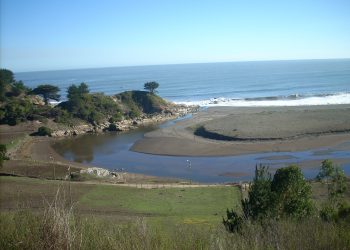 Alcalde de Trehuaco confía que proyectos de salmoneras en sus costas también serán rechazadas