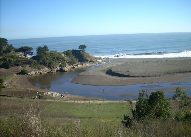 Alcalde de Trehuaco confía que proyectos de salmoneras en sus costas también serán rechazadas