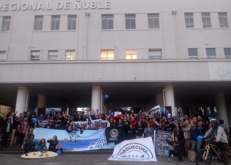Grupos ambientalistas de Ñuble se manifestaron en Chillán contra salmoneras