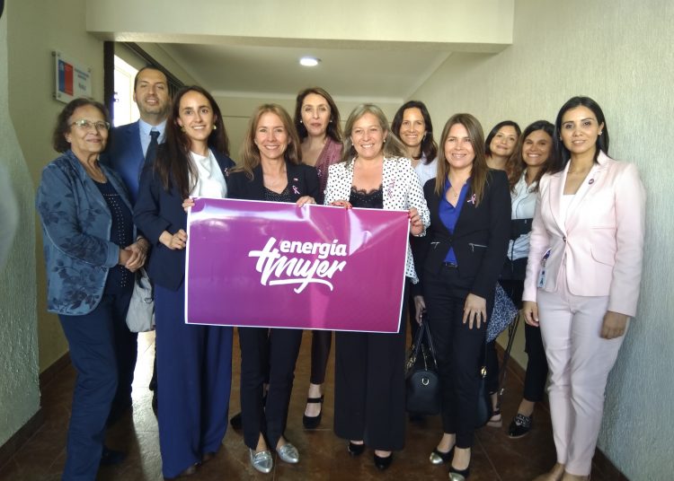 Se conforma primera mesa de trabajo de “Energía + Mujer” en Ñuble