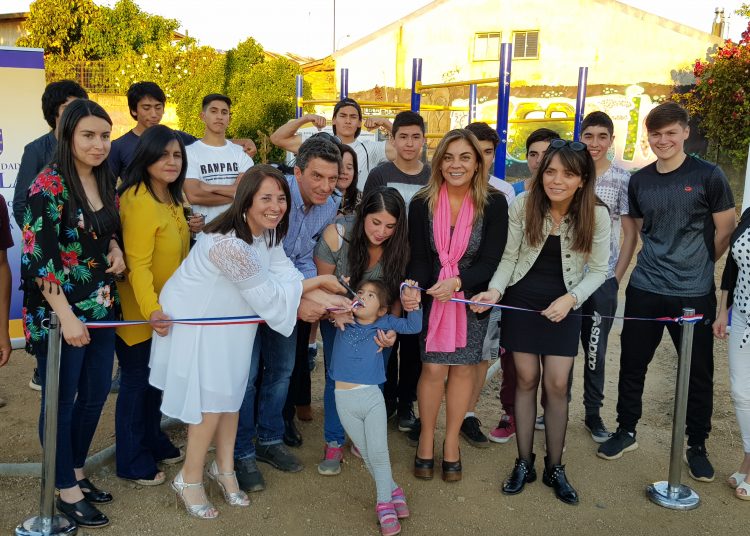 Municipio de Chillán instala equipos inclusivos para práctica de ejercicios
