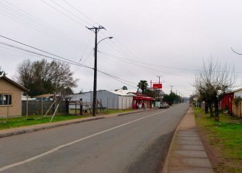 Lactante falleció al atragantarse con el cuesco de una ciruela en Bulnes