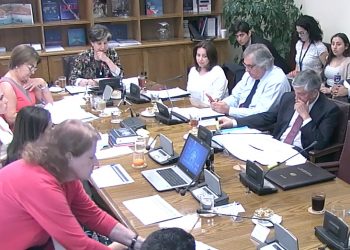 Senadora Allende rechaza incentivos de generación eléctrica con empresas contaminantes
