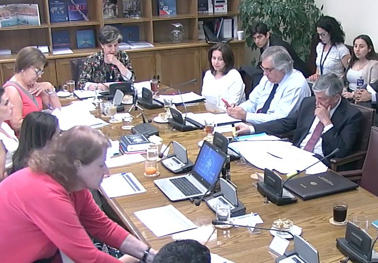 Senadora Allende rechaza incentivos de generación eléctrica con empresas contaminantes