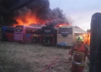 Incendio destruyó 15 buses de empresa «Línea Azul» de Chillán