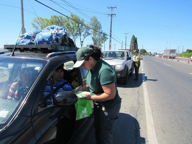 Operativo de Conaf en la carretera busca evitar ocurrencia de incendios forestales en Ñuble