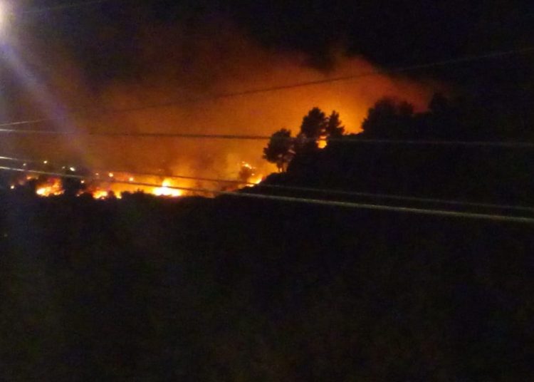 Vecinos denuncian la presencia de un pirómano en sector Quitripín en Ninhue