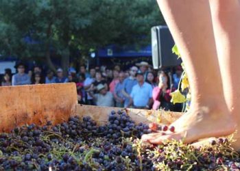 Quirihue prepara Fiesta de la Vendimia y los vinos del Valle del Itata