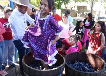 Quirihue rescató patrimonio vitivinícola del Valle del Itata en fiesta de la vendimia