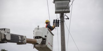 Un pájaro que cayó sobre la red habría provocado interrupción del suministro eléctrico en 4 comunas del Itata