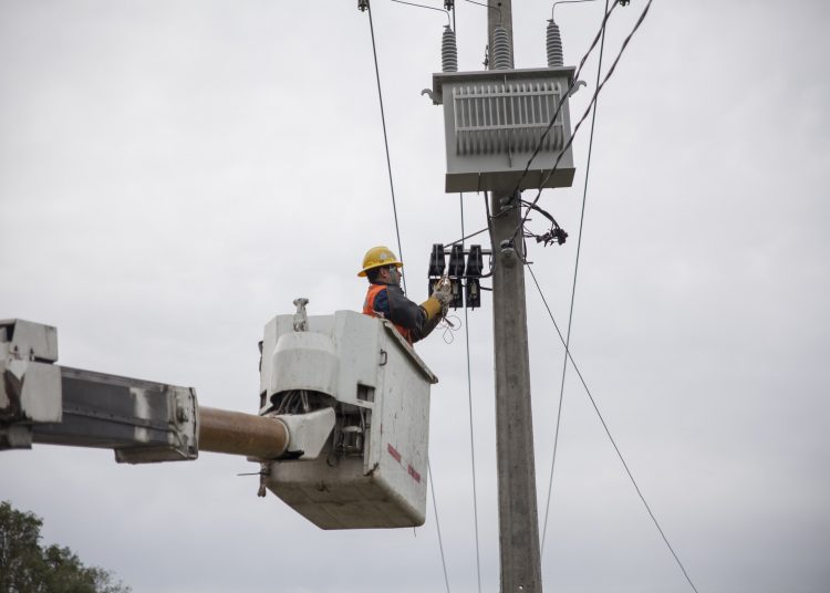 Un pájaro que cayó sobre la red habría provocado interrupción del suministro eléctrico en 4 comunas del Itata