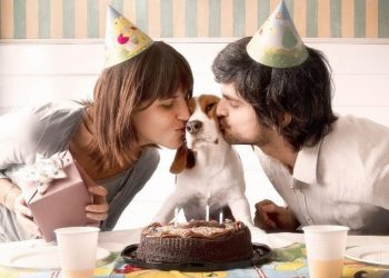 Tratar a tu mascota como un hijo sería señal de trastornos mentales, según estudio