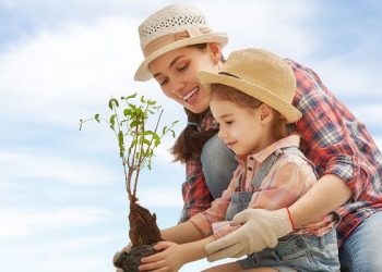 ¿Cómo enseñar a los niños a cuidar el medio ambiente?