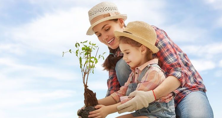 ¿Cómo enseñar a los niños a cuidar el medio ambiente?