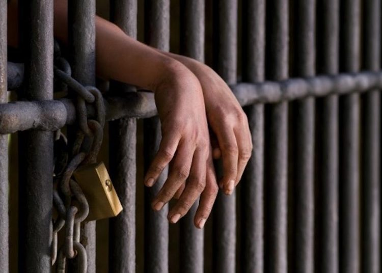 Corte de Chillán confirma fallo que condenó a 5 años y un día de presidio efectivo a autor del delito de violación en Quirihue