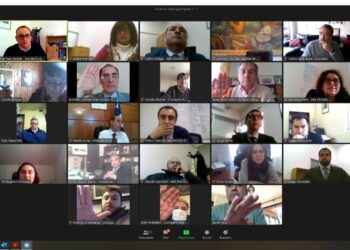 Consejo Regional aprueba la primera Estrategia Regional de Desarrollo de Ñuble