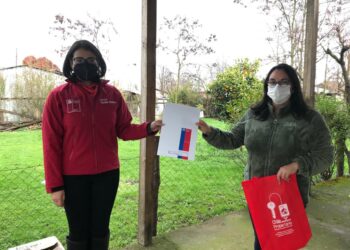 Priorizan tramitar títulos de dominio para jefas de hogar de Ñuble