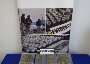 PDI San Carlos desbarata punto de venta de dogas en sector rural de Ñiquén