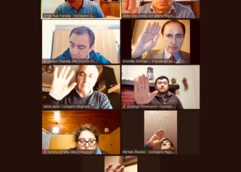 Consejo Regional aprueba nuevos proyectos para salud, deporte, e infraestructura en Ñuble