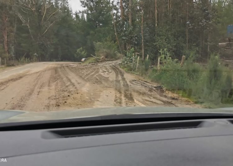 Advierten de riesgos por barro en la ruta entre Quirihue y Cobquecura
