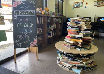 Yungay y San Nicolás se adjudicaron fondos para mejorar sus bibliotecas públicas